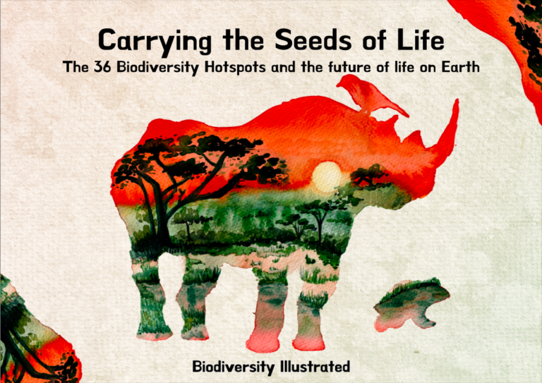 BIL cover front